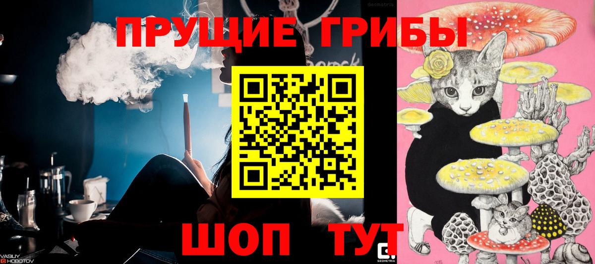 Псилоцибиновые грибы Psilocybine cubensis Борисоглебск