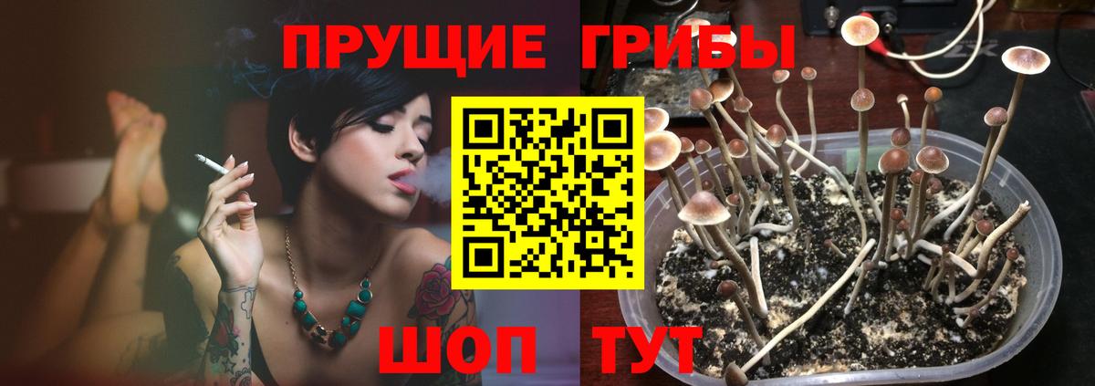 Борисоглебск  Галлюциногенные грибы мухоморы  Вход с VPN  Псилоцибиновые грибы Psilocybine cubensis 